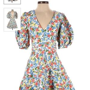 Amur avian dress Sz 10